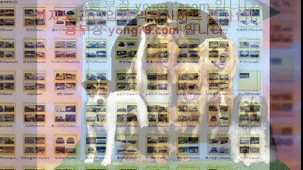 카지노사이트 ▨【【 yong79。ＣOM 】】▨ 합법토토사이트