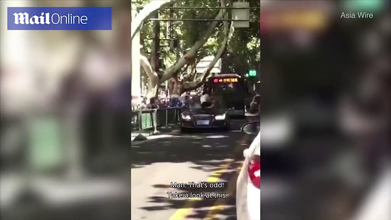 Scorned wife jumps onto her cheating husband's car