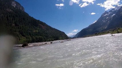 Un kayakista escapa de un ataque de oso pardo