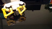 Doggy robotic gaming platform, Pollen Robotics #1