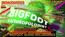 Bigfoot Forest Vancouver Island video 