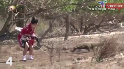 DE NOUVEAUX FARFELUS JAPONAIS POUR UNE ÉMISSION DE TV