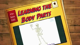 Learning the Body Parts