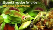 Bogotá recebe feira de plantas carnívoras