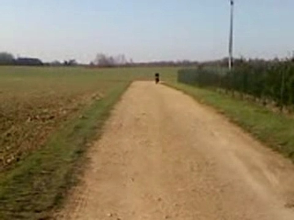 Premiere foi que je roule avec