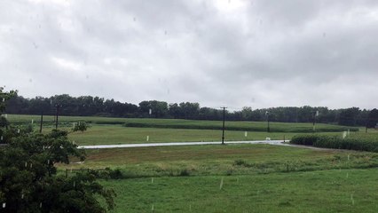 Rain Storm Lightning Strike