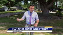 Virginia Man Finds Snake in Toilet; Roommate Uses Fishing Pole to Get it Out