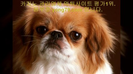 스포츠토토 ◐【【 yong79。ＣOM 】】◐ 토토다이소