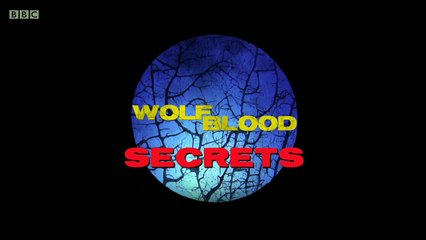 Wolfblood Secrets S01E10 Accused