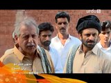 Mujhay Jeenay Do - Promo 1 | Urdu1 Drama | Hania Amir, Gohar Rasheed, Mehreen Raheel