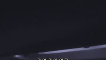 장미의 행렬