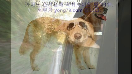 네임드사다리 ♨【【 yong79。ＣOM 】】♨ 카지노주소