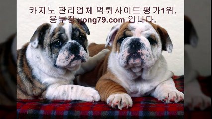 안전놀이터추천 ▷【【 yong79。ＣOM 】】▷ 메이저토토