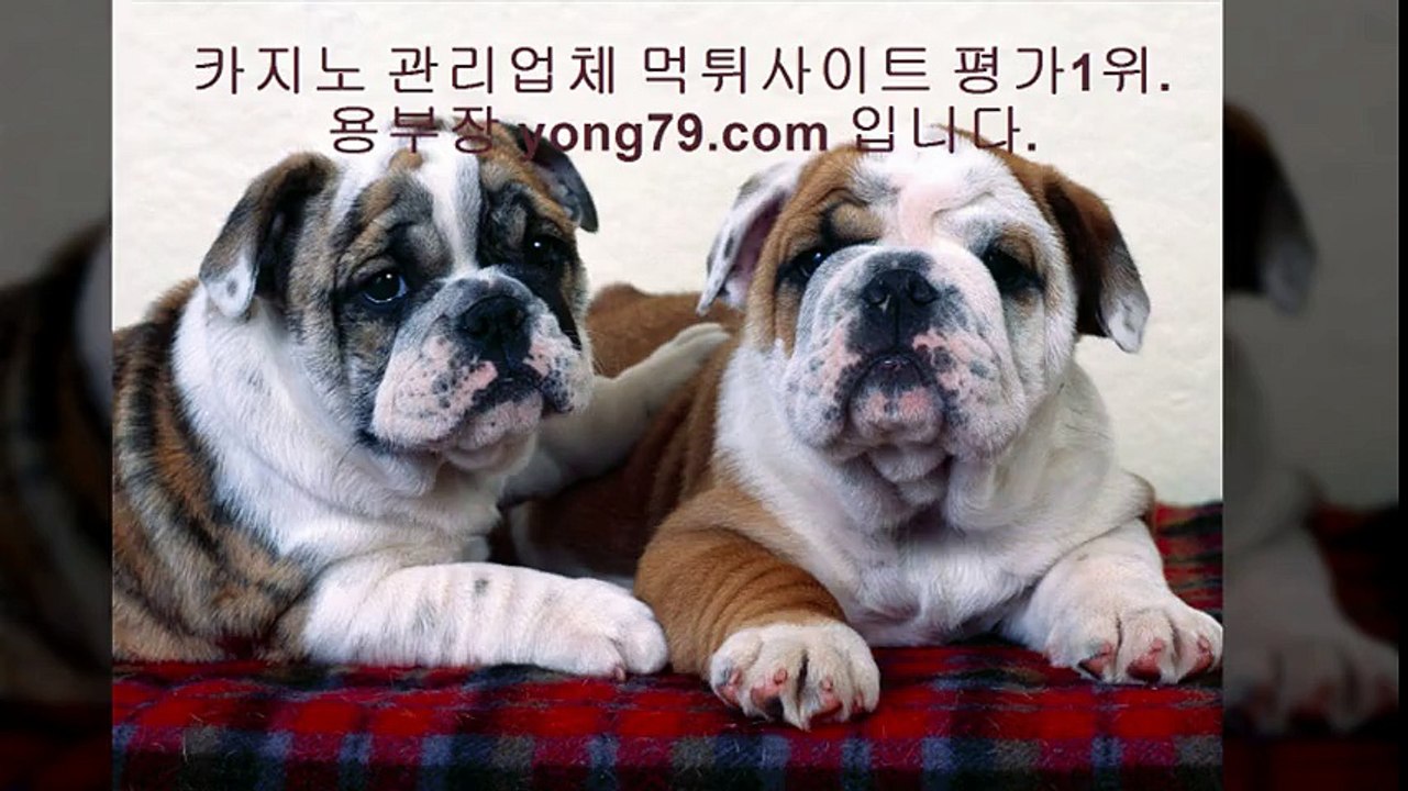 안전놀이터추천 ▷【【 yong79。ＣOM 】】▷ 메이저토토