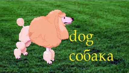 Як намалювати собаку, малюємо пуделя, #Kids, #YouTubeKids