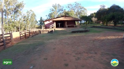 ROÇA TV- BASTIDORES EP. 01