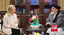 در حالی که حکومت افغانستان تلاش ایالات متحده امریکا را برای گفت‌وگوهای مستقیم با طالبان رد میکند، اما گلبدین حکمتیار، رهبر حزب اسلامی می‌گوید که معاون وزیر خارج