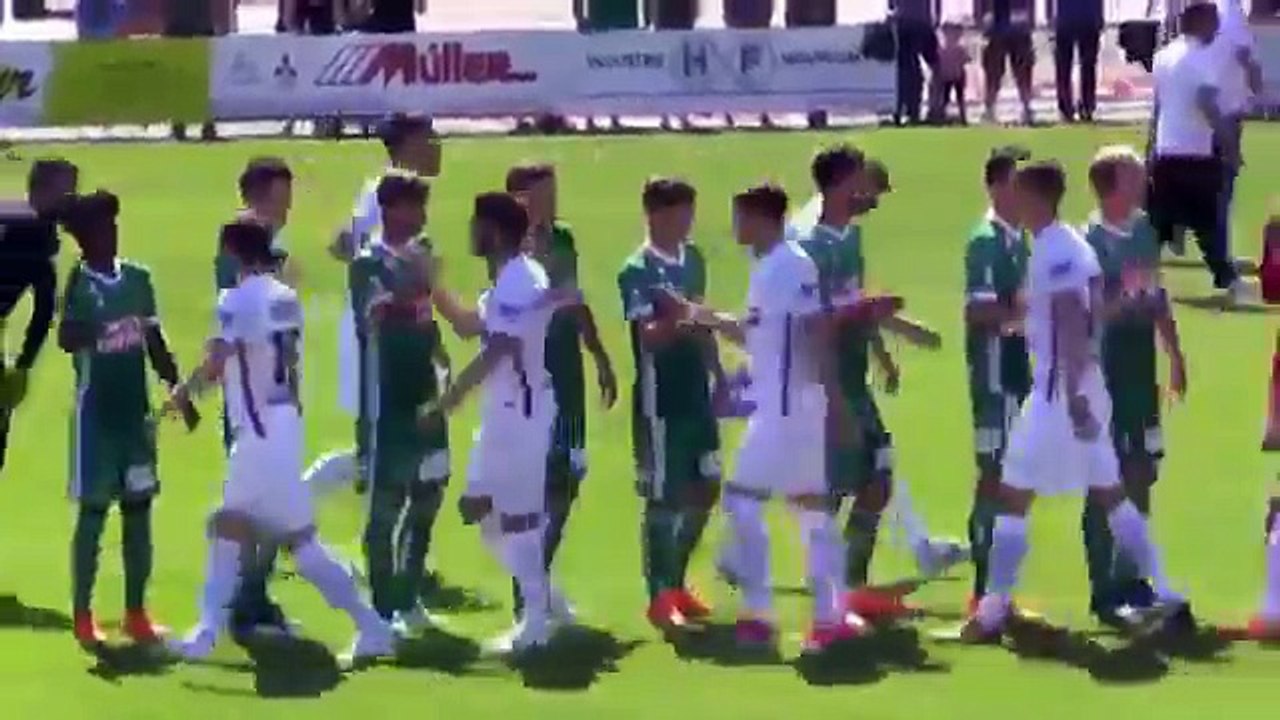 Rapid Wien 1:0 Krylia Sowjetow (Friendly Match. 9 July 2018)