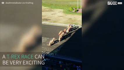 Balapan T-Rex Paling Aneh