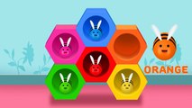 Learn Colors for children with Toy Beehive and Flying Bees| Learning Colours for Children