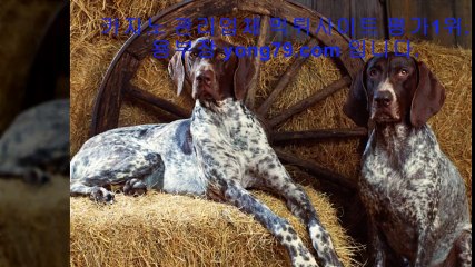 배트맨 ◈【【 yong79。ＣOM 】】◈ 카지노사이트