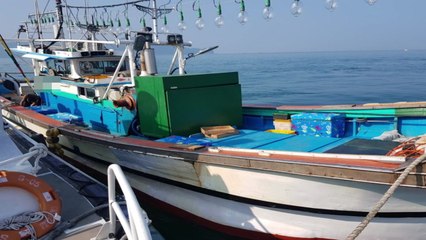 선장이 만취해 졸음운전하다 낚싯배 충돌 / YTN