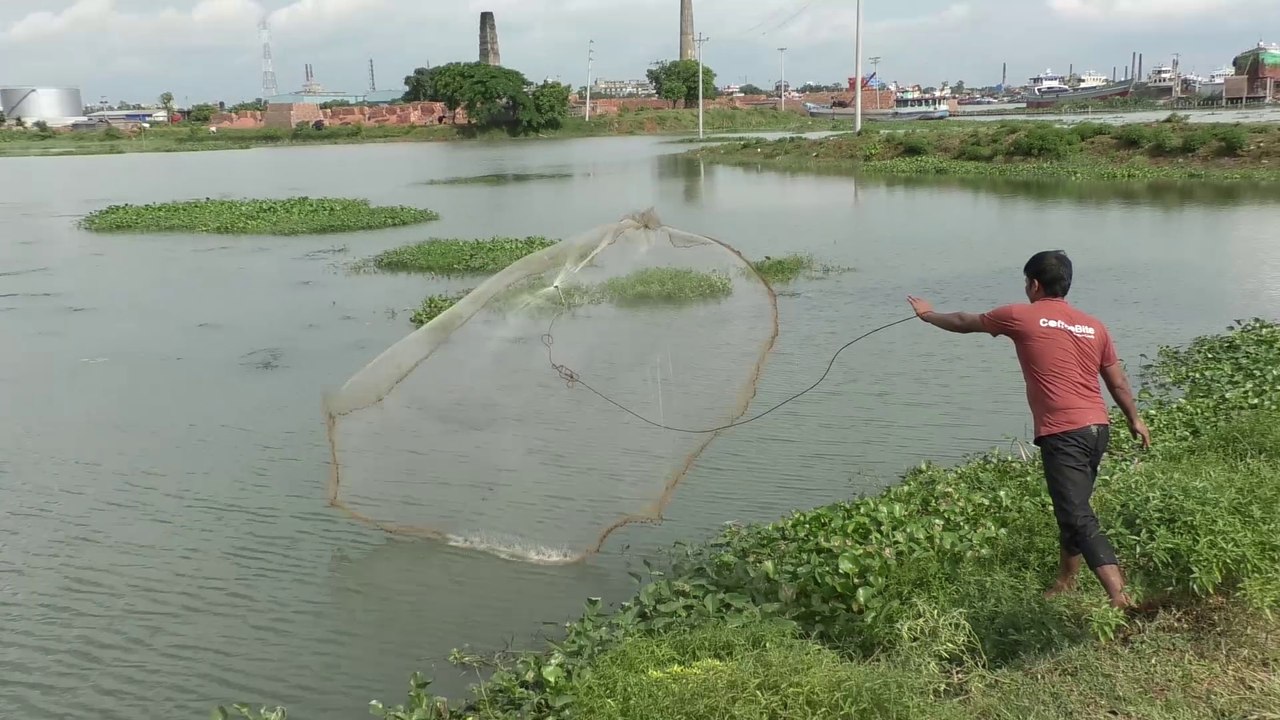 Unbelievable He Cast Net and Catch Big Fish  Cambodian People Catching Fish By Using The Net,