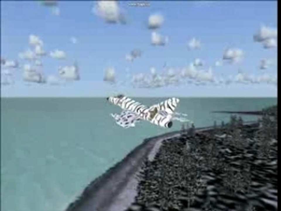 Artic Tiger