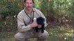 Richard A. Wolters Game Dog: The Hunter's Retriever for Upland Birds and Waterfowl (1995) part 1/2