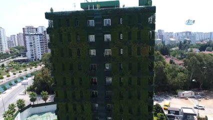 Dört Bir Yanı Sarmaşıklarla Kaplı Türkiye'nin Tek Yeşil Apartmanı Adana'da