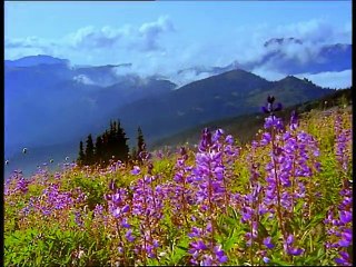 Great National Parks Of The World - Lands of Wonder - Europe To Africa (2000) part 1/2