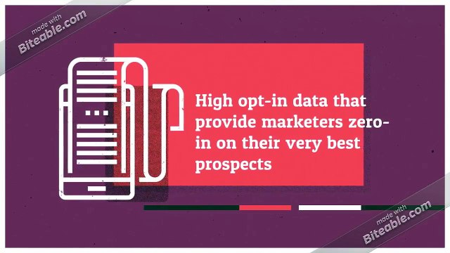 Nurses by Ethnicity and Language Email List Providers