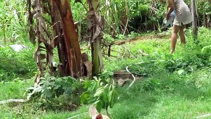 Beautiful Girl Fishing Amazing Fishing at Battambang How To Catch Fish By Hand Part32