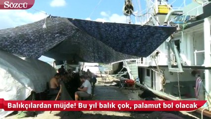 Balıkçılardan müjde, denizde bu yıl balık çok