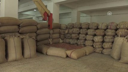 Fındık Piyasasında Güvenli Ortam Gerekiyor"