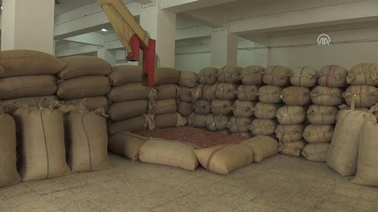 Fındık Piyasasında Güvenli Ortam Gerekiyor"