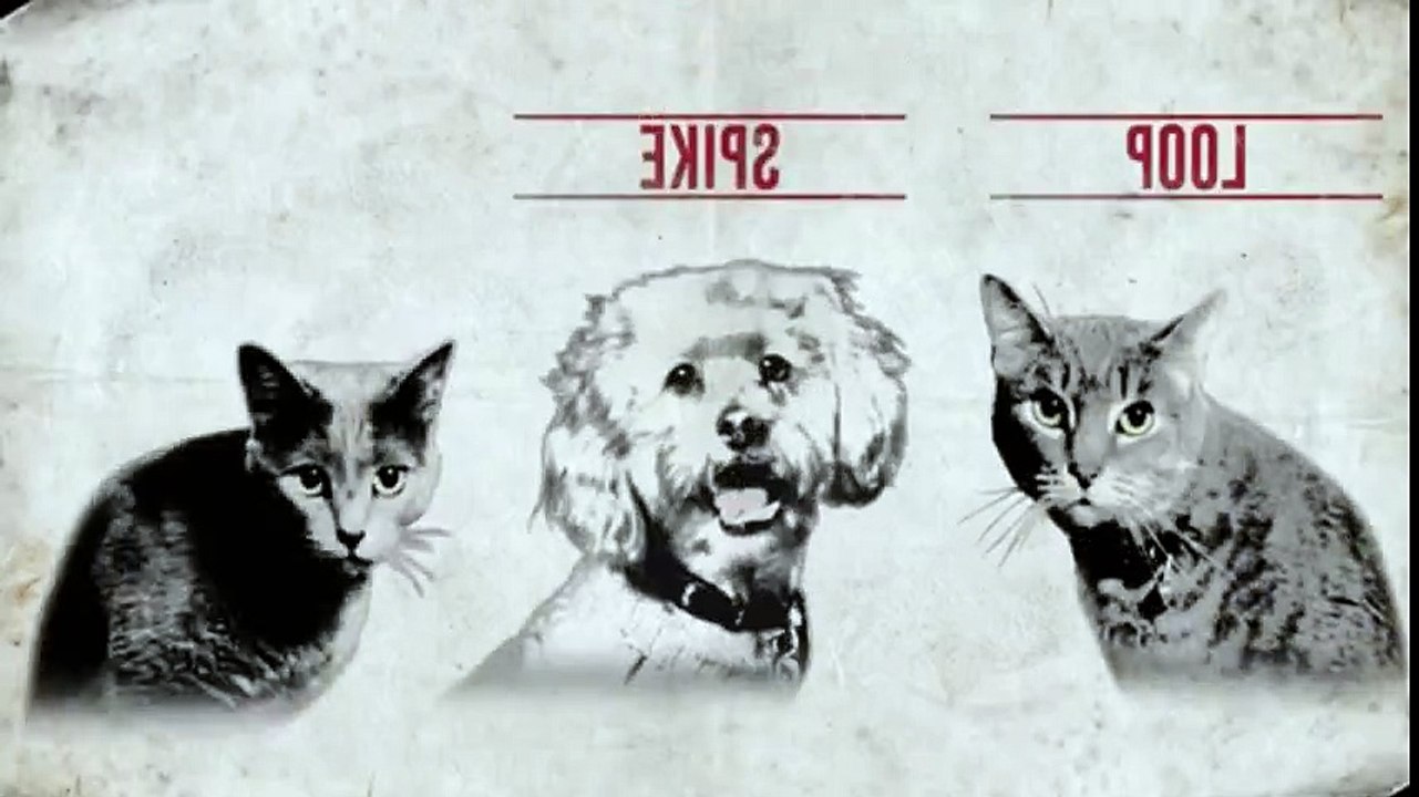 Cat vs  Dog S01xxE06 My Daughter s Cat Is A Bully  - Part 03