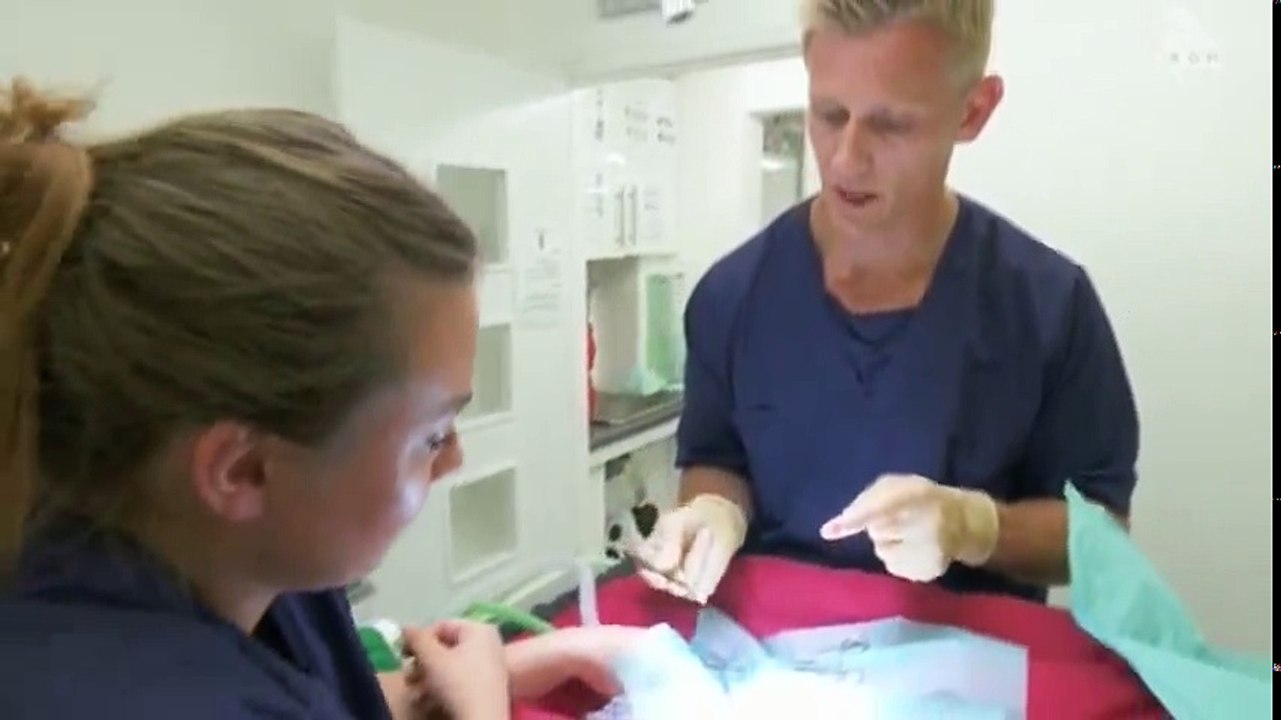 Vet on the Hill S02  E04 E 4 - Part 01