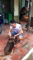 the dog meets the old owner