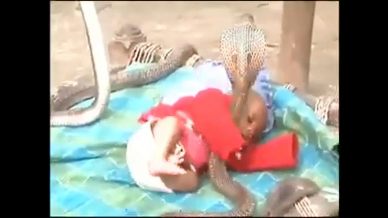 Insane How bay is Guarded by Snakes 2018