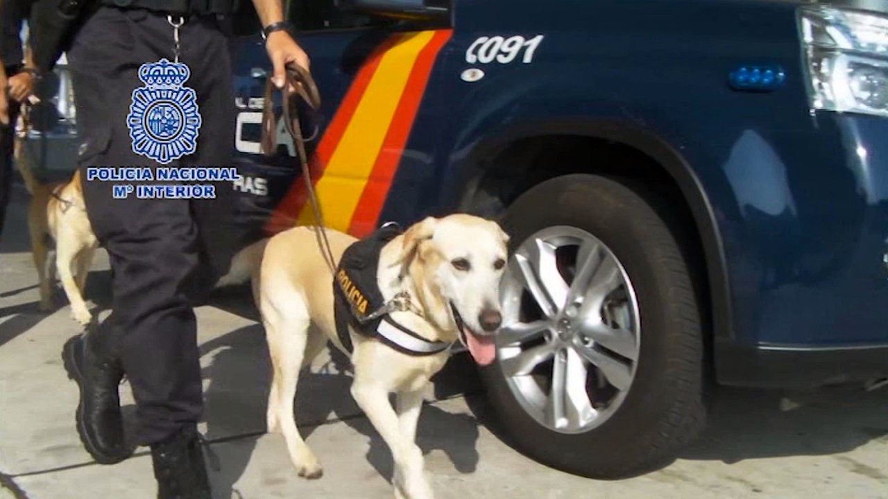 Arranca "Operación Minerva" en Ceuta, Algeciras y Tarifa