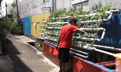 Asa dari Lahan Sempit Jakarta - JEJAK KASUS (3)