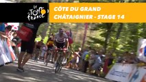 Côte du Grand Châtaignier - Étape 14 / Stage 14 - Tour de France 2018