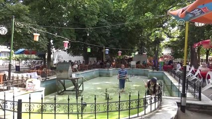 Havuza Düşen Balaban Kurtarıldı