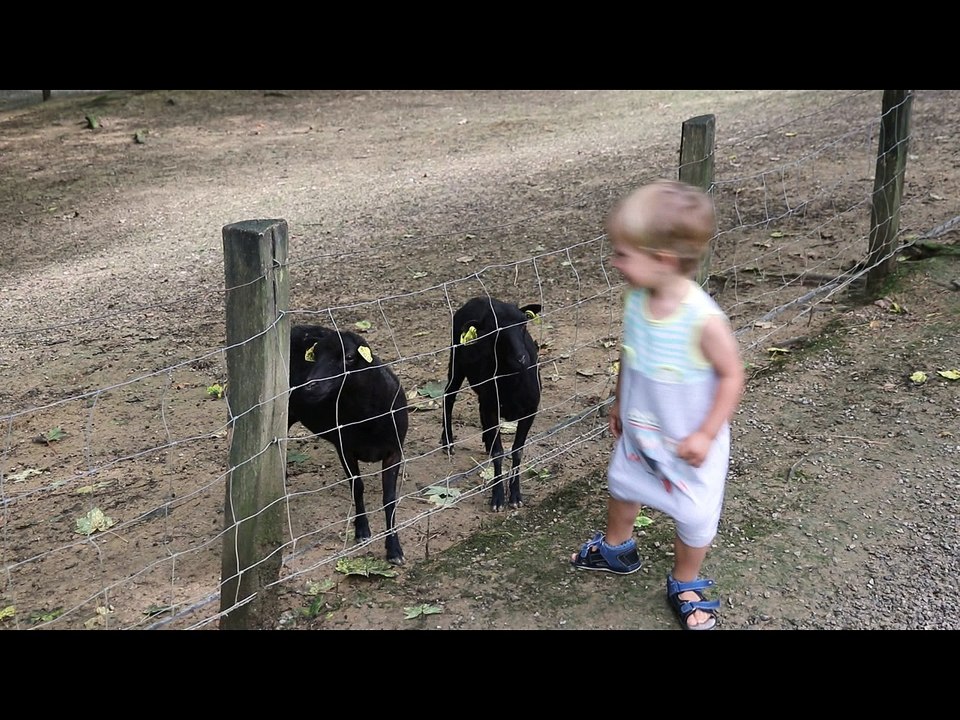 Ferme Etxola