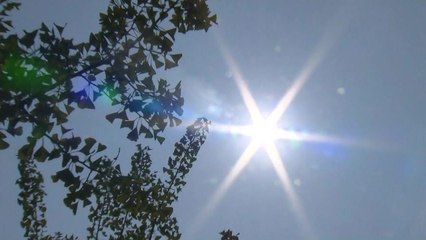 올 최강 폭염, 영천 39.3℃....서울은 24년 만 최고 / YTN