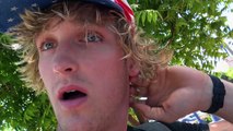 EP. 9 - LOGAN PAUL VS HITCHHIKING! Passport, camera, and over 2,000 miles to travel... in 36 hours LOLOLplz LIKE & SHARE :)