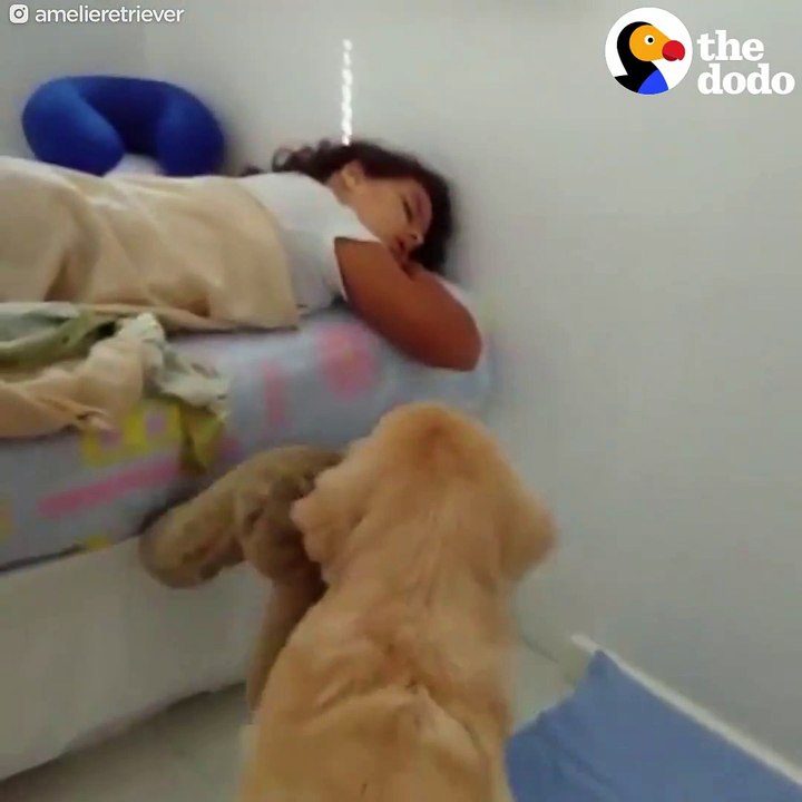 please wake up please wake up please wake up please wake up