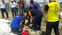 Aksaray Kuyuya Düşen Yavru Köpeği, Afad Kurtardı