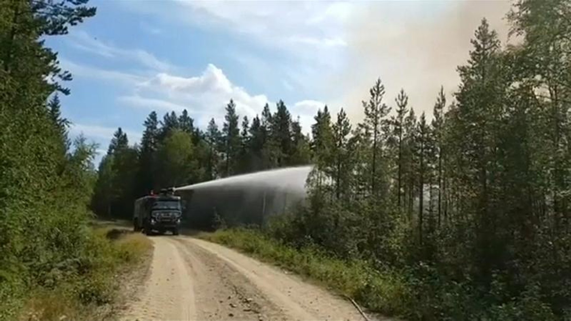 ⁣В Швеции пожары, в Британии засуха